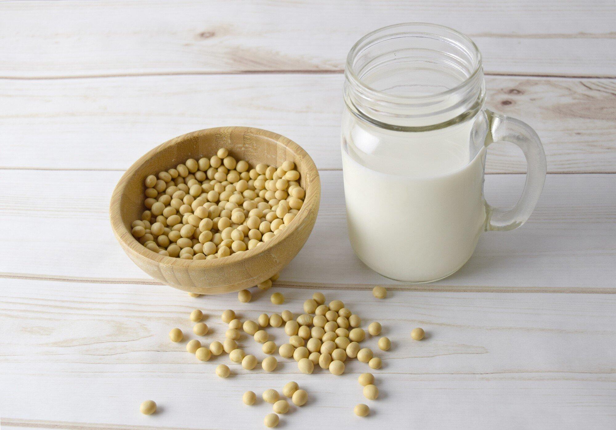 Boost Your Nutrition with These Non-Dairy Protein Options